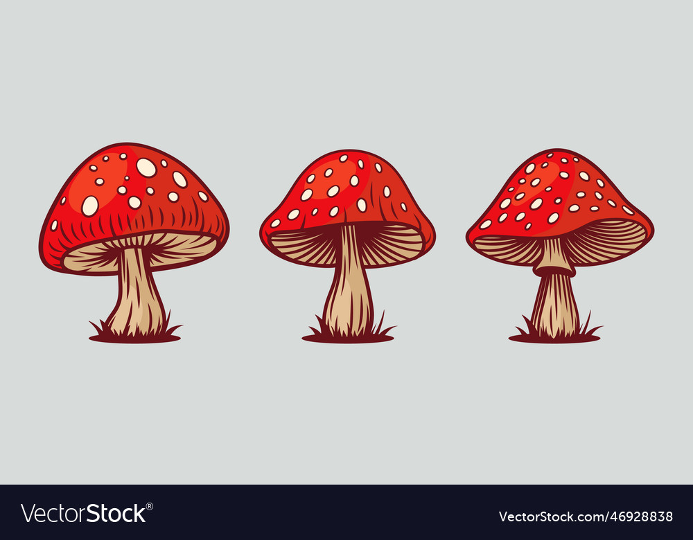 Hand Drawn Mushroom With Outline Icon Set Vector Image