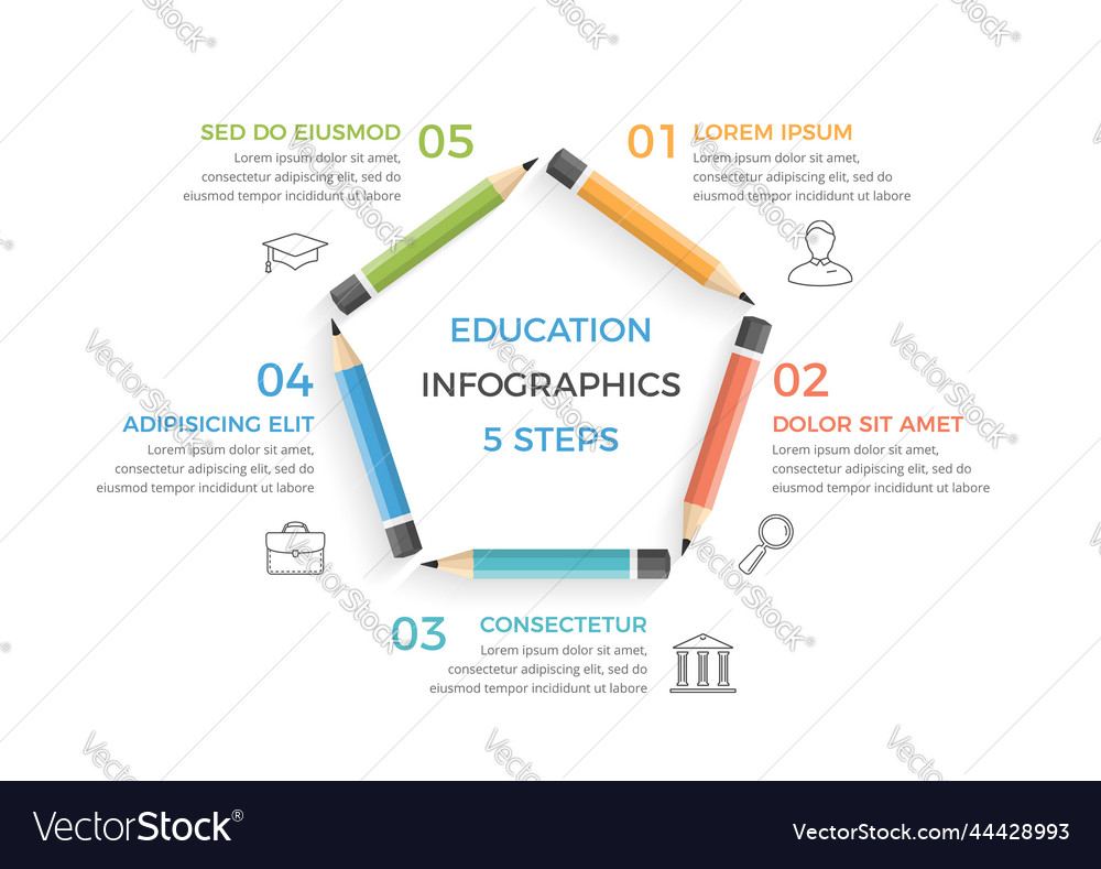 Education Infographics Royalty Free Vector Image