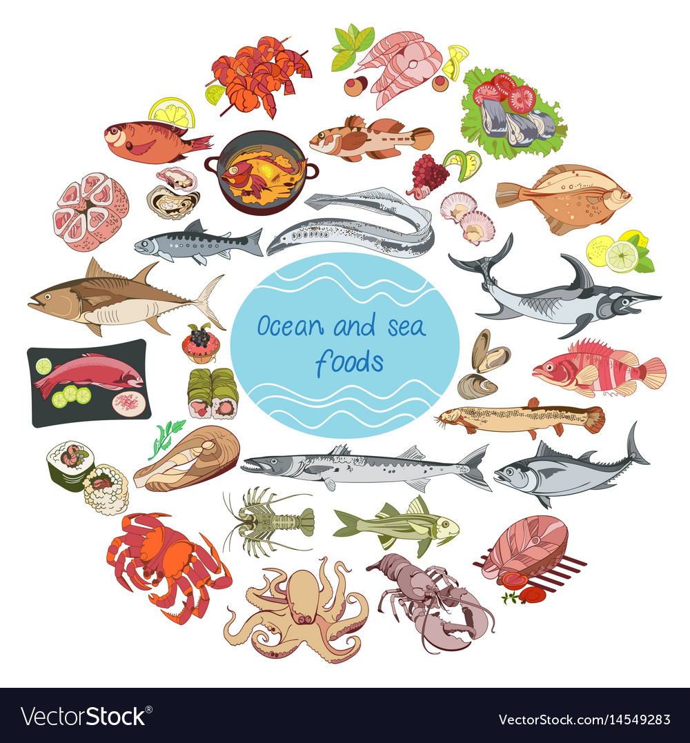 Sea And Ocean Food Round Concept Royalty Free Vector Image