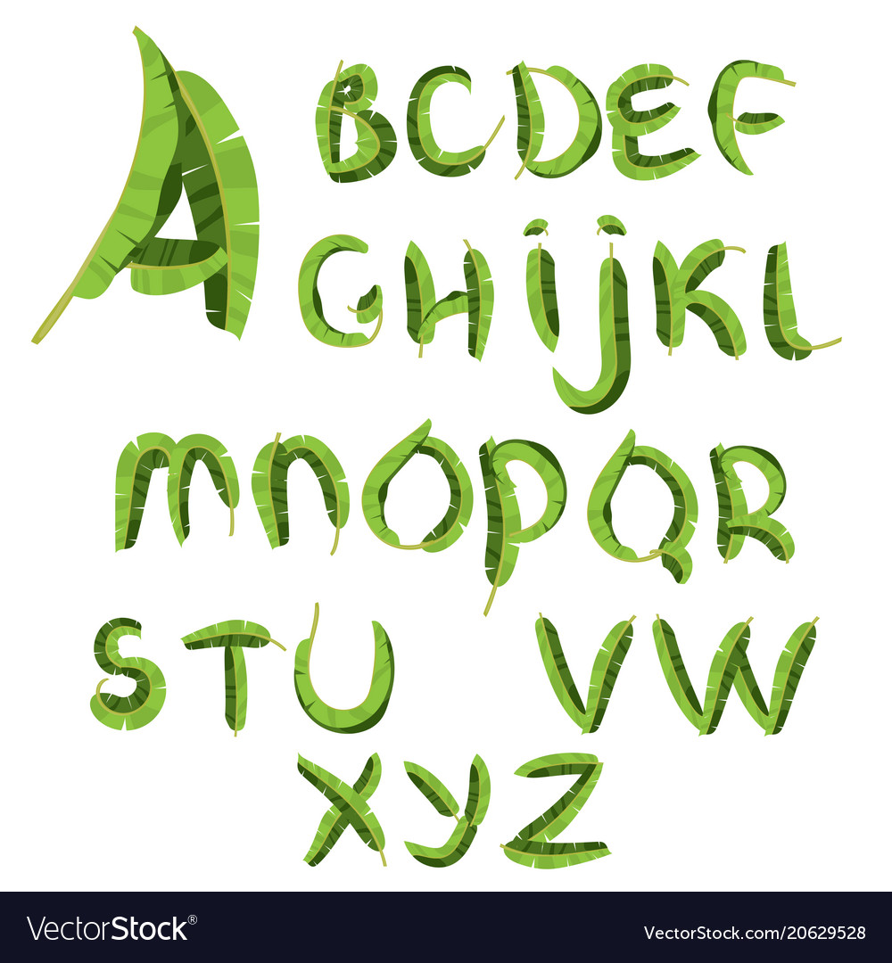 Tropical Alphabet Made Of Banana Palm Leaves Vector Image