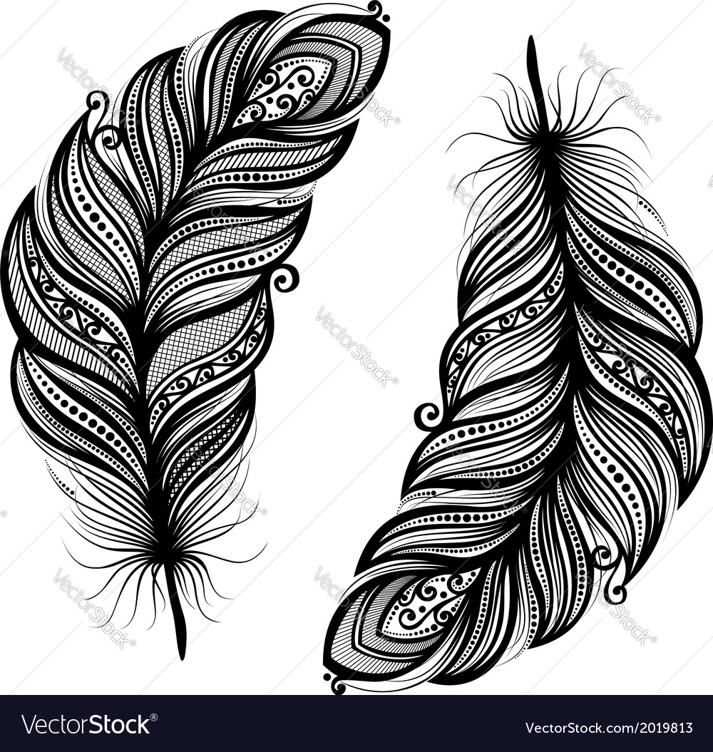 Peerless Decorative Feather Royalty Free Vector Image