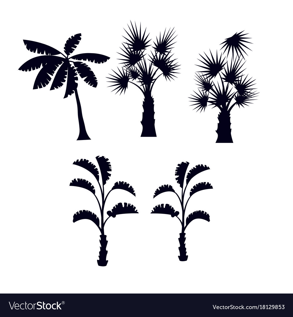 Tropical Palm Trees Silhouette Set Royalty Free Vector Image