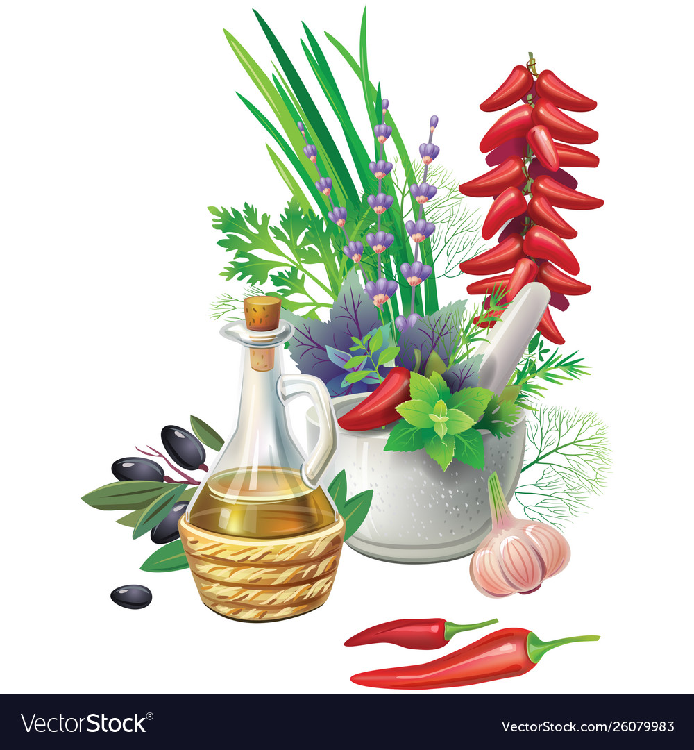 Still Life With Aromatic Herbs In Pots Royalty Free Vector