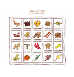 Indian Spices Herbs Icon Set Royalty Free Vector Image