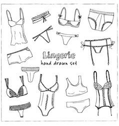 Collection Lingerie Panty And Bra Set Royalty Free Vector