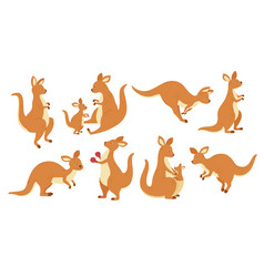 Cute Kangaroos Jumping Through The Sand Royalty Free Vector