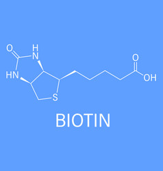 Biotin Or Vitamin B Molecule Skeletal Formula Vector Image