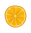 Citrus Fruits Slices Arrangement Round Frame Vector Image