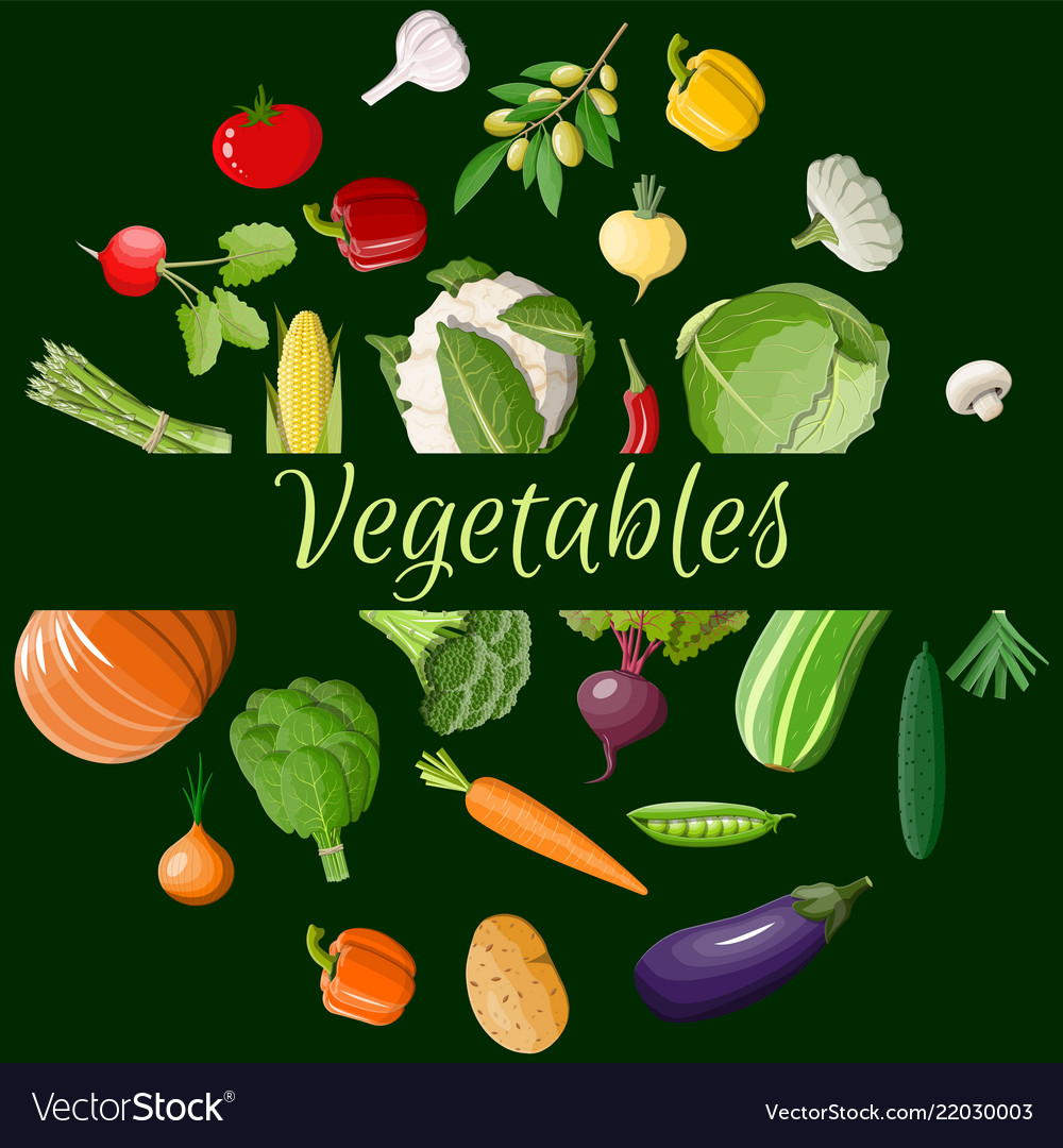 Big vegetable icon set Royalty Free Vector Image