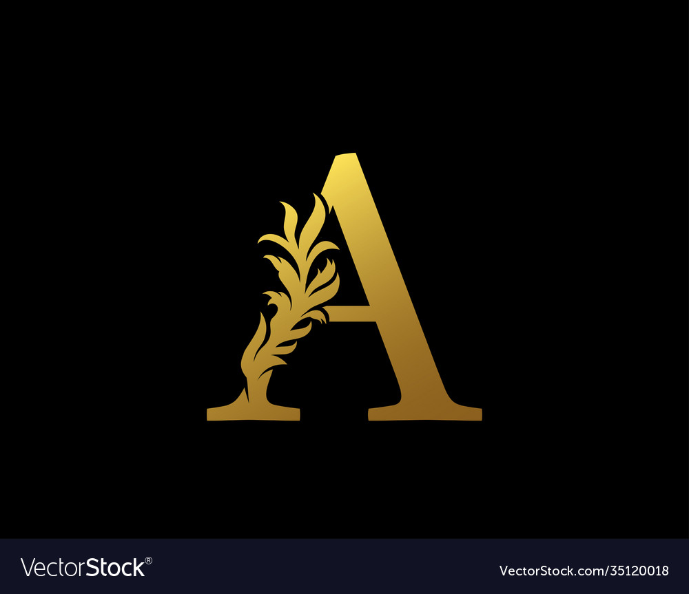 Classic letter a icon luxury gold alphabet arts Vector Image