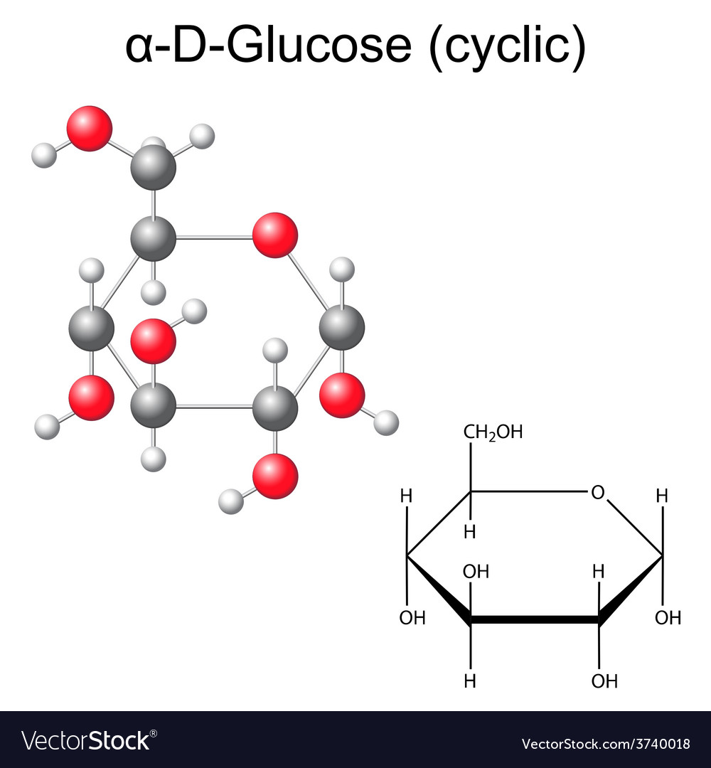 Structural chemical formula and model of glucose Vector Image