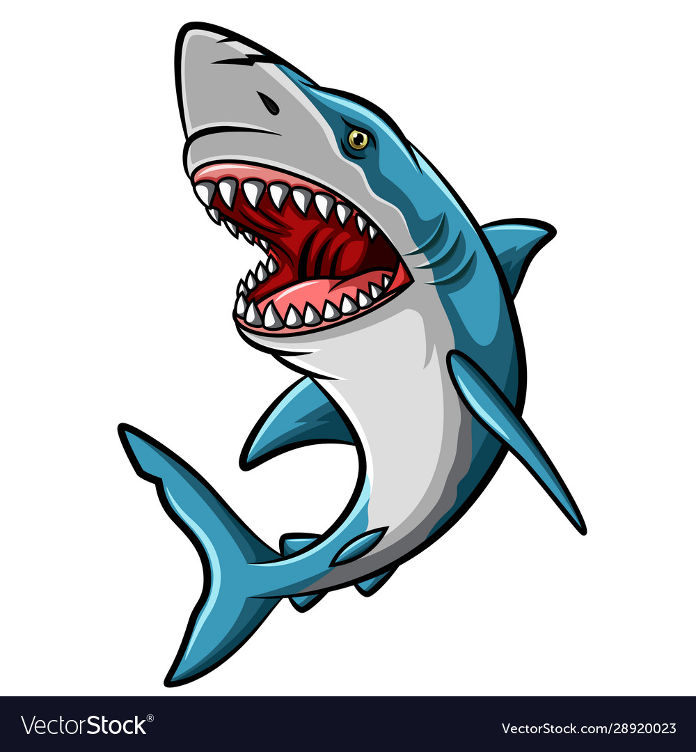 Cartoon angry shark mascot on white background Vector Image