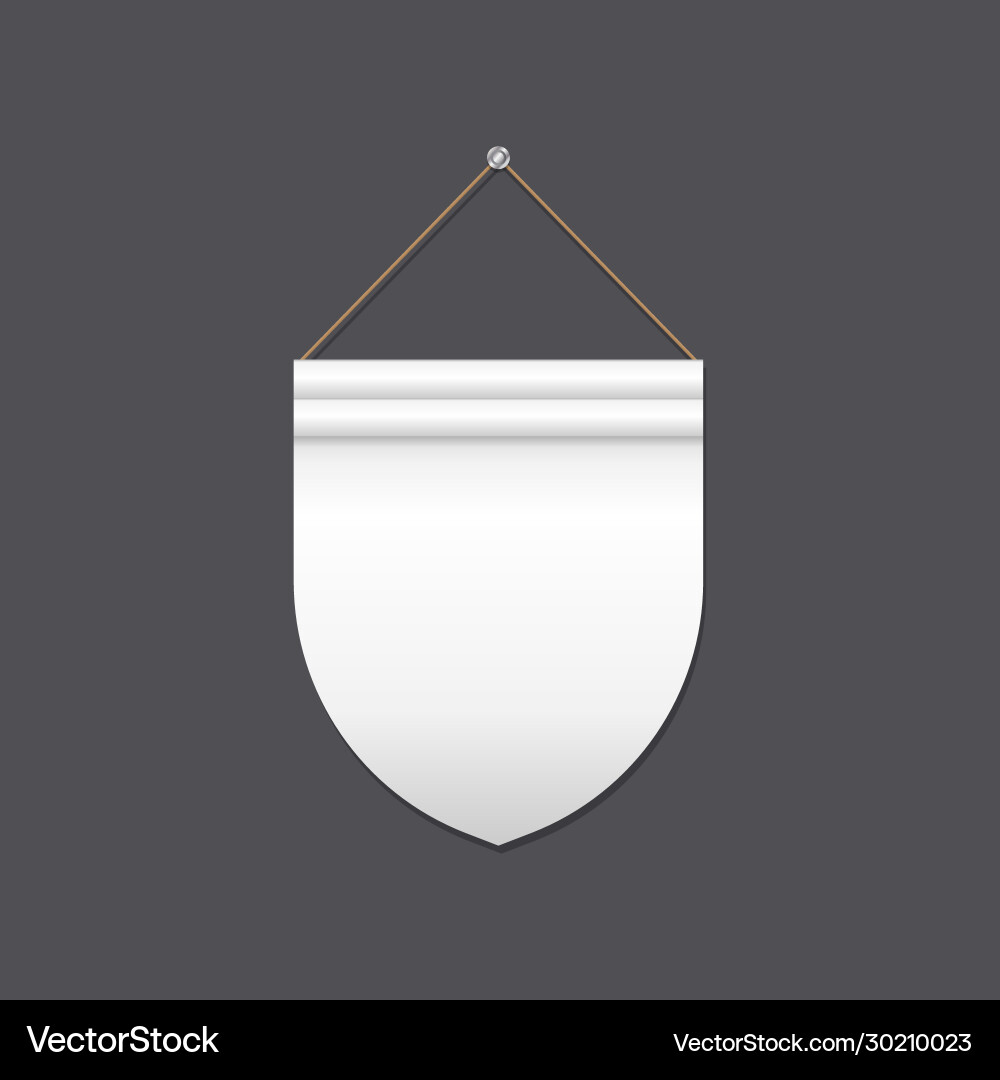 Empty shield shaped flag Royalty Free Vector Image