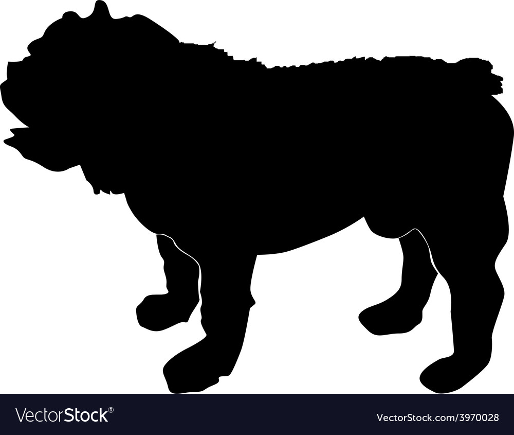 English Bulldog Royalty Free Vector Image - VectorStock