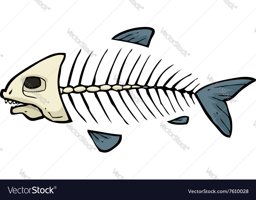 Fish skeleton doodle Royalty Free Vector Image