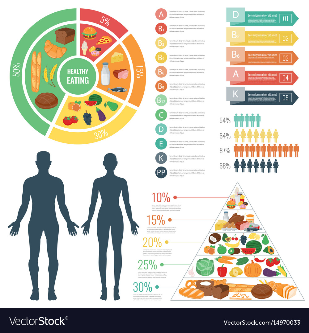 Healthy food for human body eating Royalty Free Vector Image