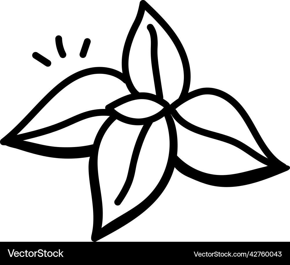 Flower Royalty Free Vector Image - VectorStock