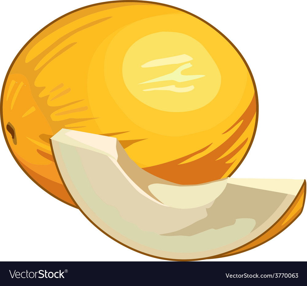 Melon Whole And Slice Royalty Free Vector Image