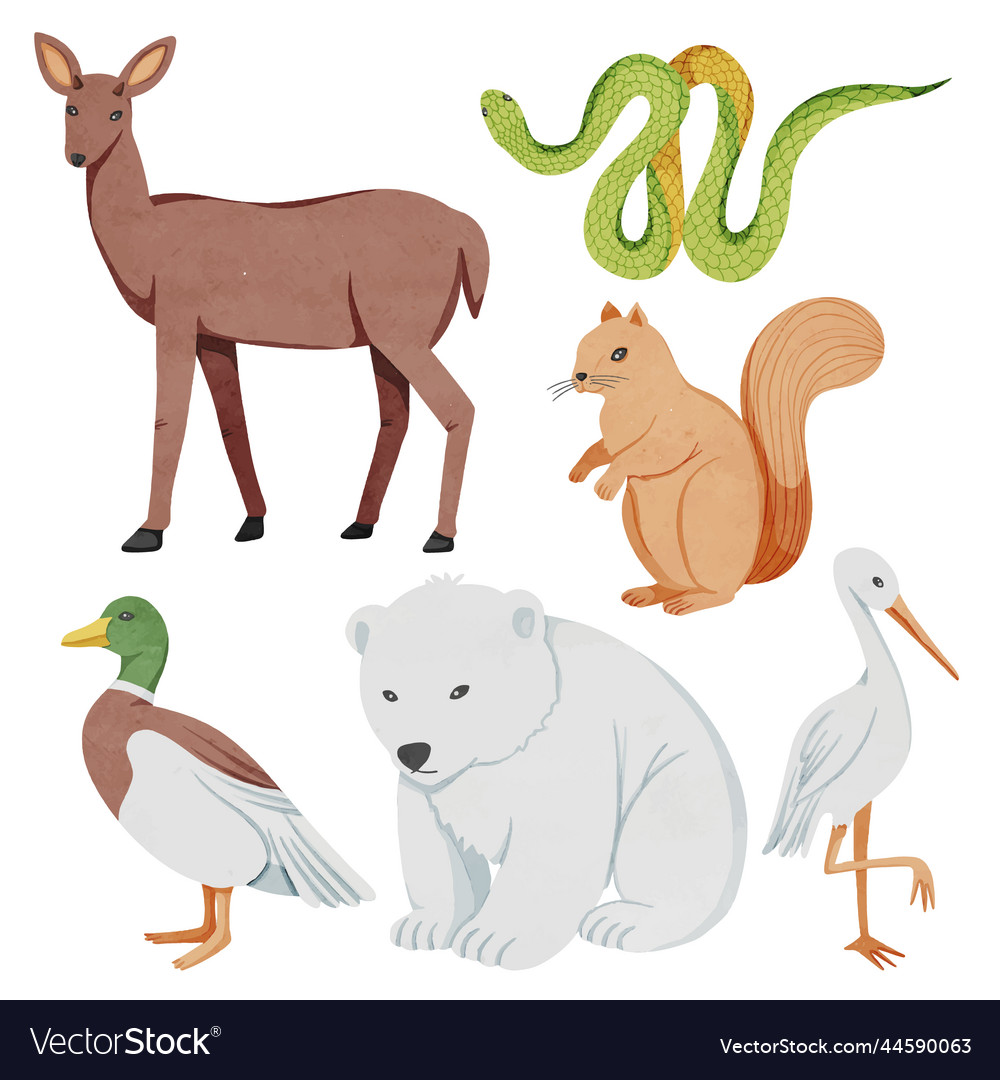 Watercolor wild animals Royalty Free Vector Image