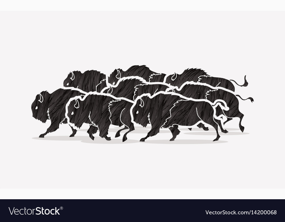 Group of buffalo running graphic Royalty Free Vector Image