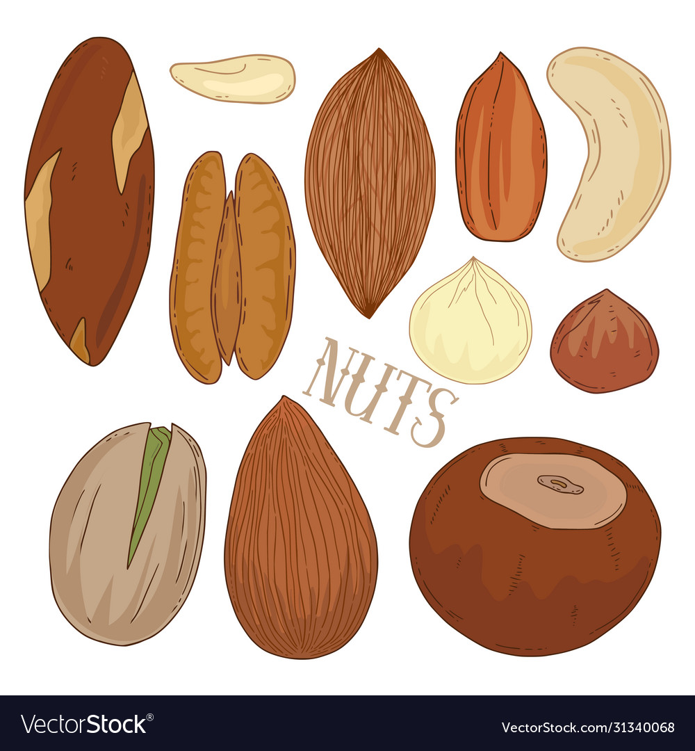 Types of store almonds