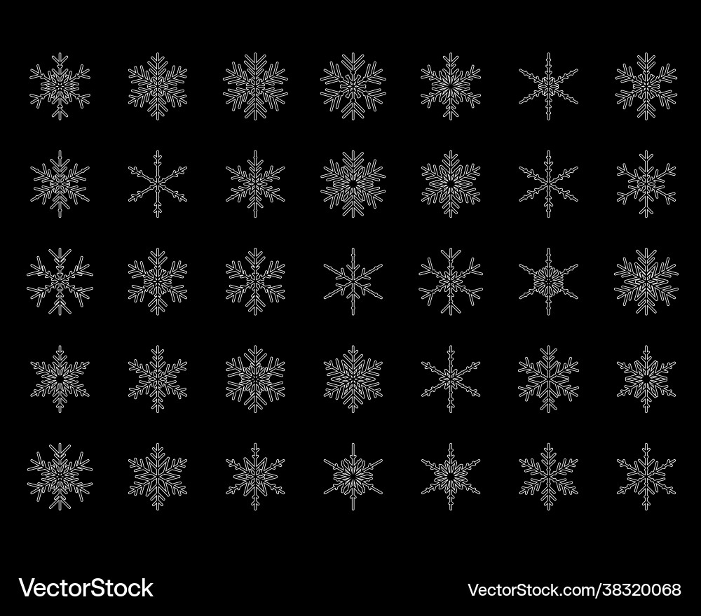 Set different snowflakes Royalty Free Vector Image