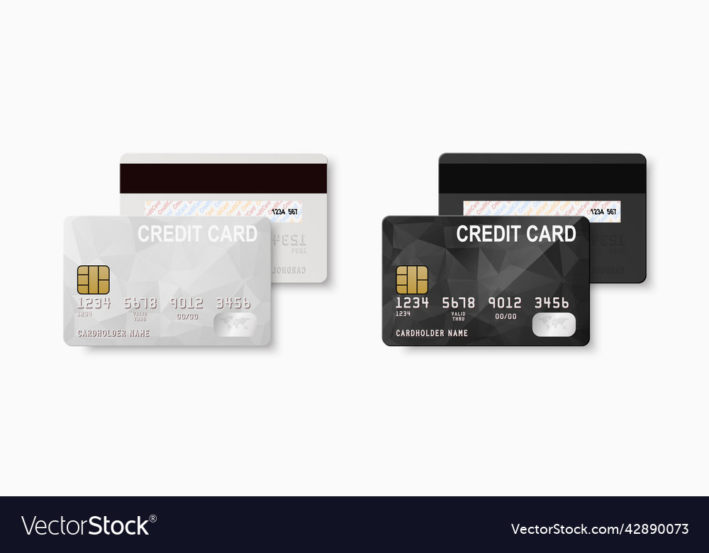 3d realistic white and black blank credit Vector Image