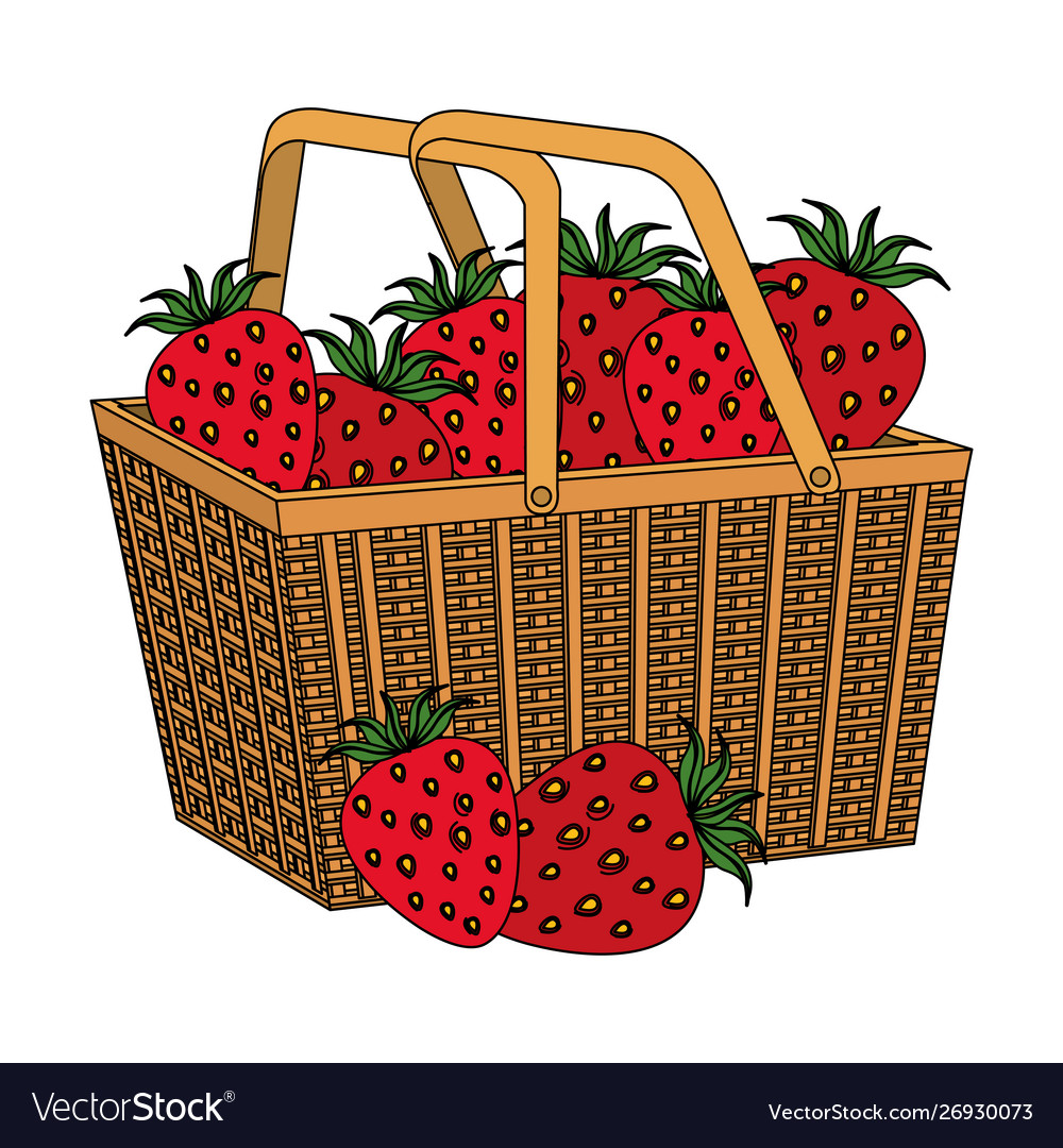 Fresh strawberries fruits in basket straw Vector Image