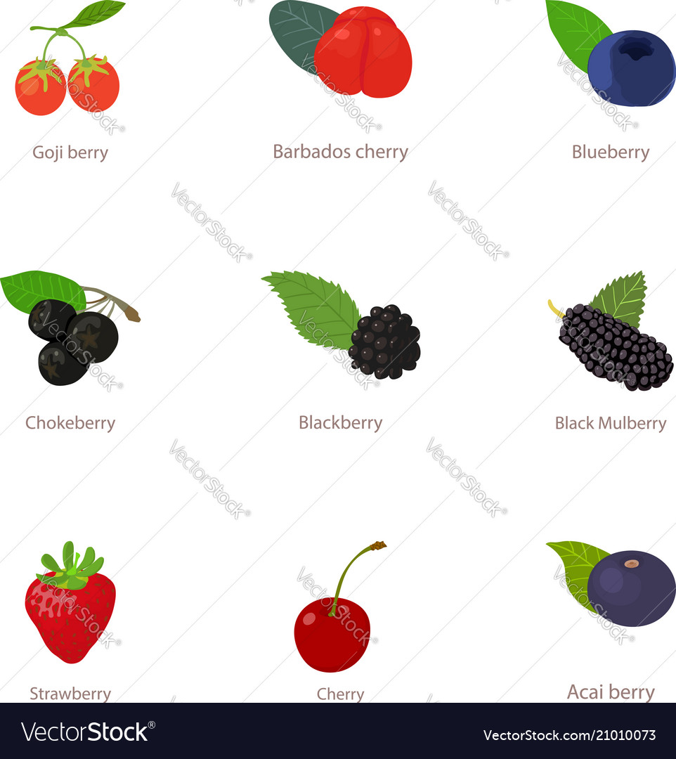 Fruit Icons Set Cartoon Style Royalty Free Vector Image