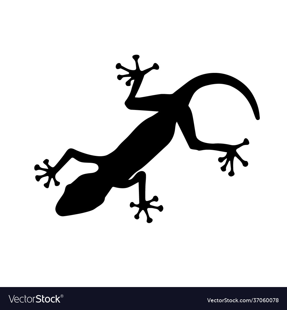 Black silhouette lizard on white background Vector Image