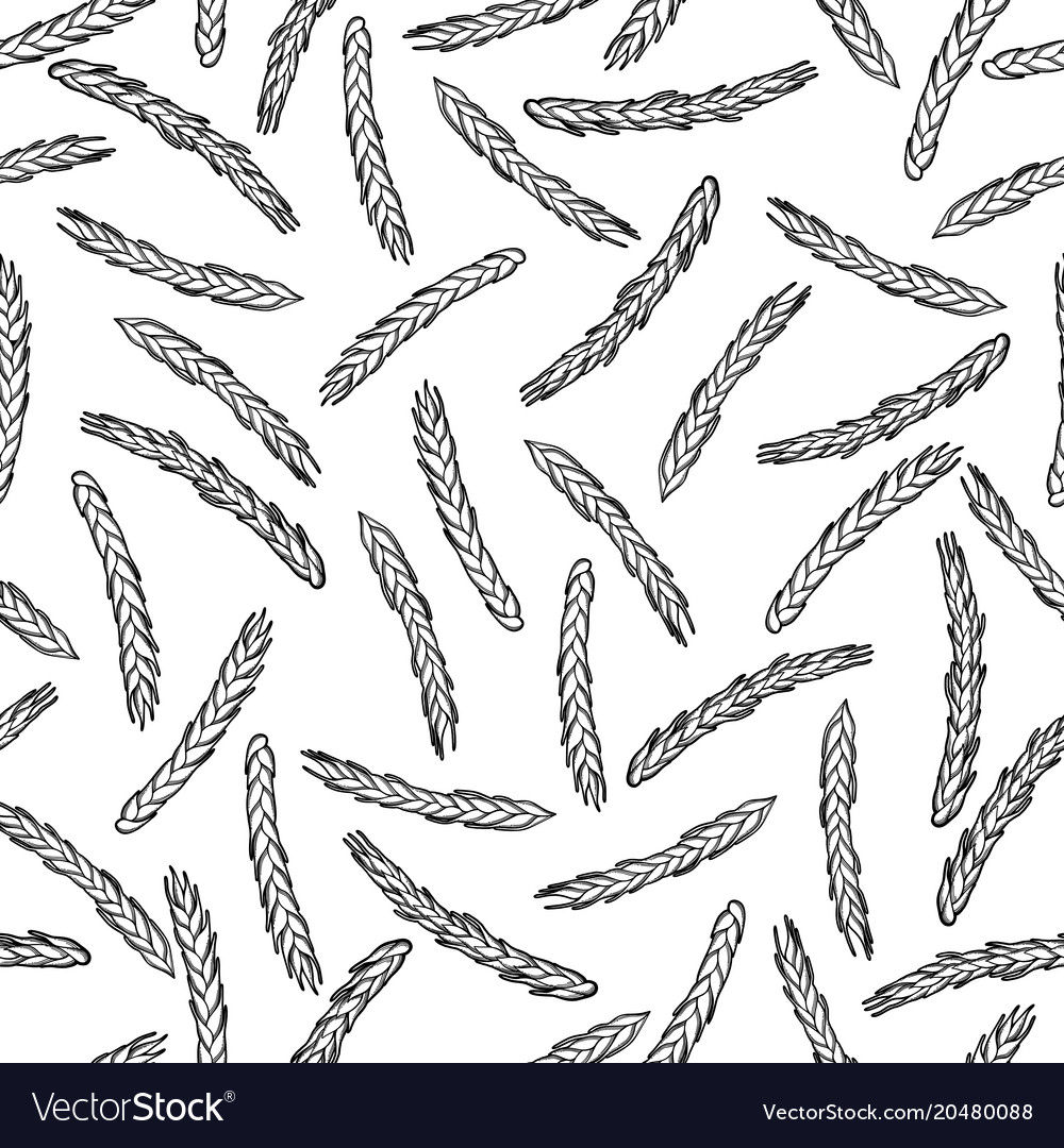 Graphic cereal pattern Royalty Free Vector Image