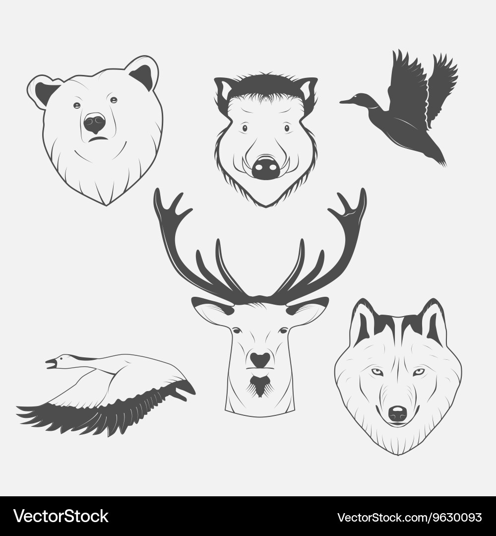 Animals Royalty Free Vector Image - VectorStock