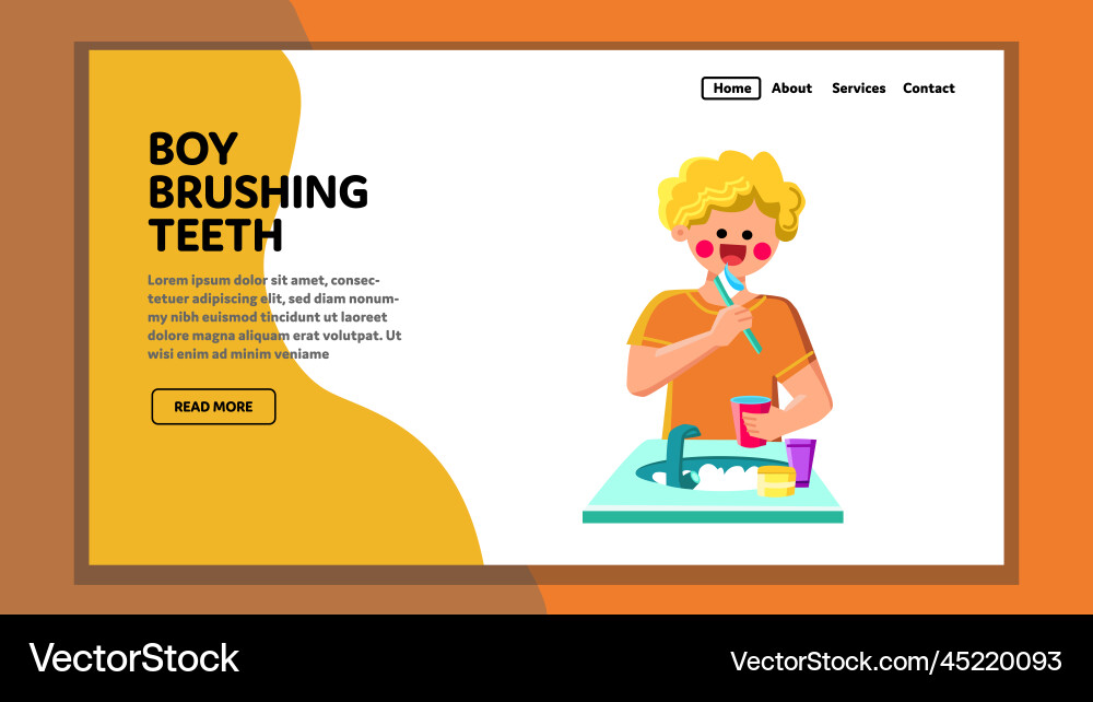 Boy brushing teeth Royalty Free Vector Image - VectorStock