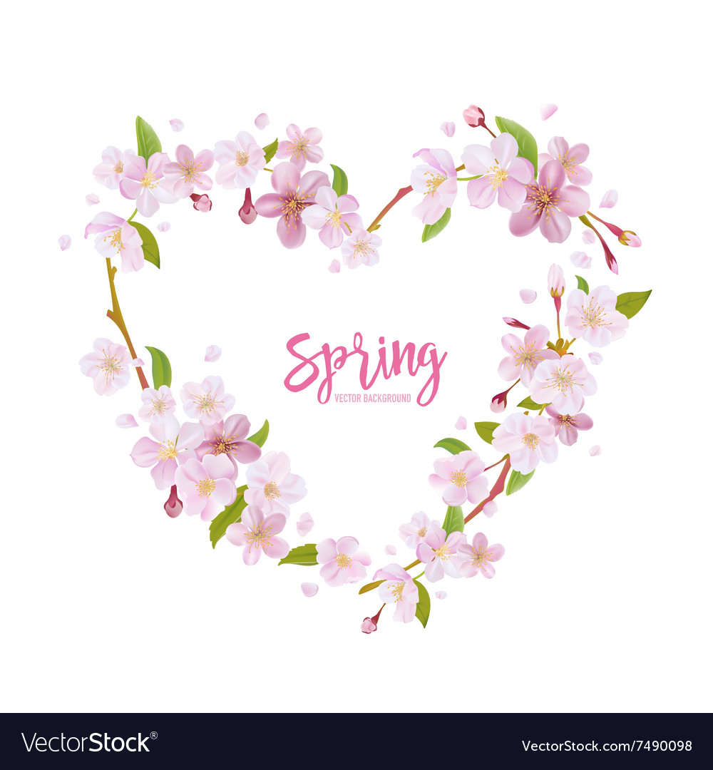 Cherry Blossom Spring Background Royalty Free Vector Image