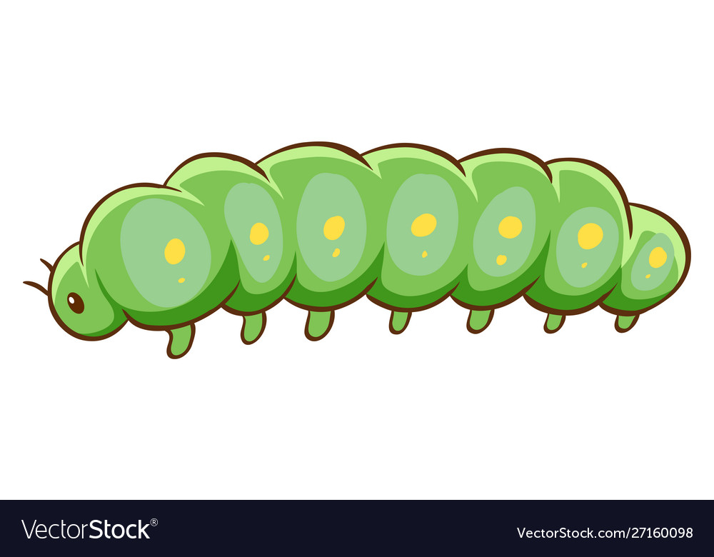 Fat caterpillar on white background Royalty Free Vector