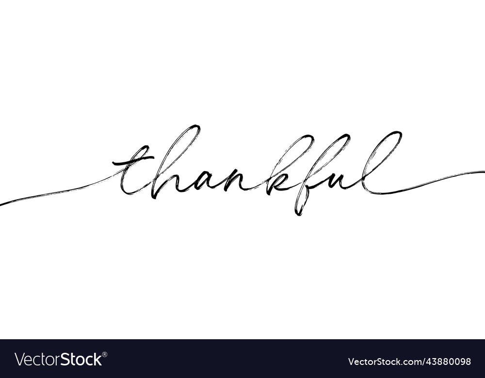 Thankful hand drawn text isolated on white vector image Thankful hand drawn text isolated on white