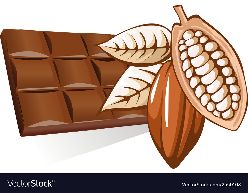 Chocolate Royalty Free Vector Image - VectorStock