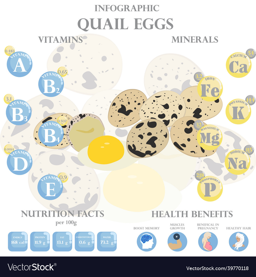 Quail eggs nutrition facts and health benefits Vector Image