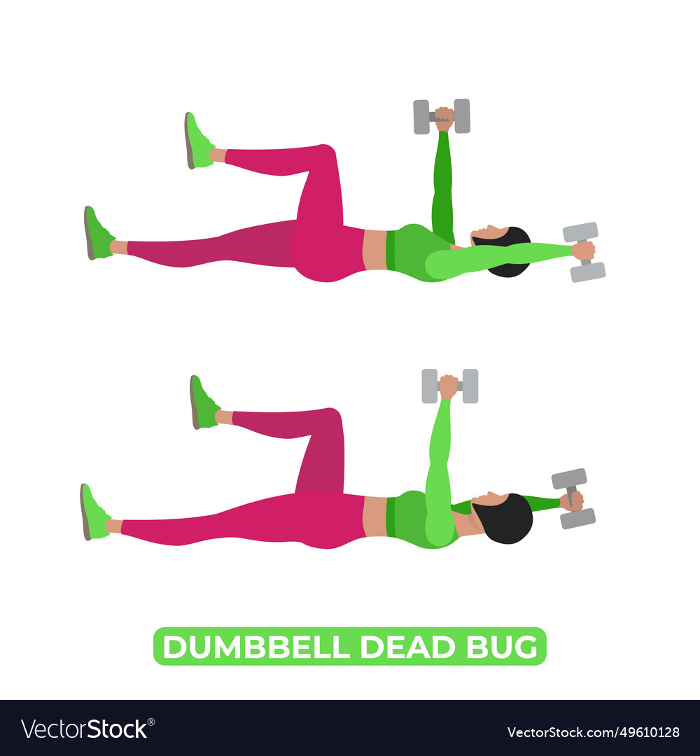 Dead bug core discount exercise