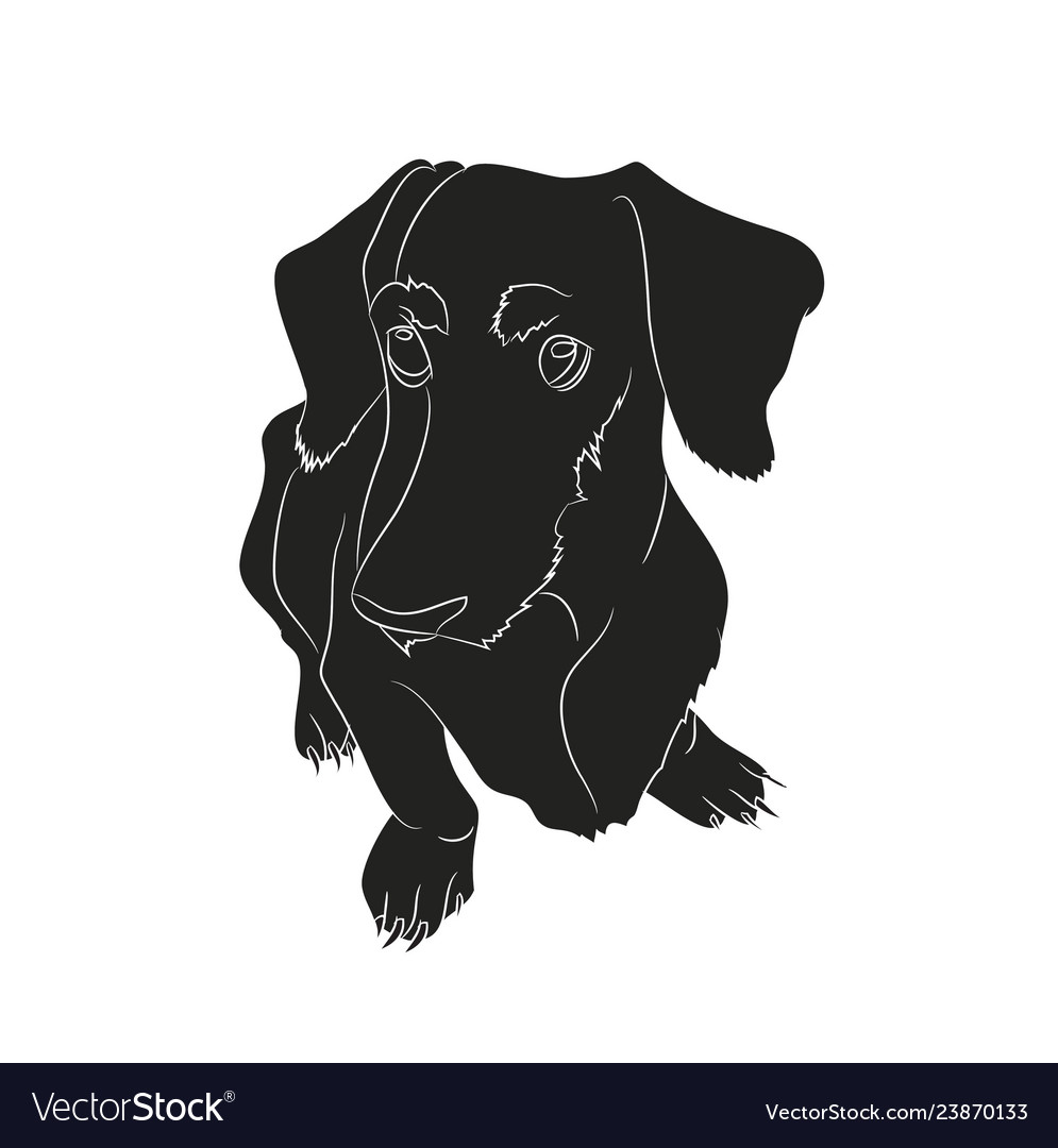 A Dachshund That Sits Silhouette Royalty Free Vector Image