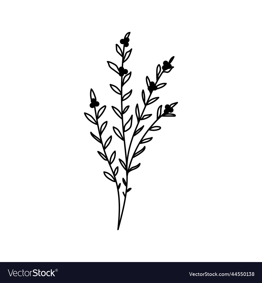 A flower silhouette of twig Royalty Free Vector Image