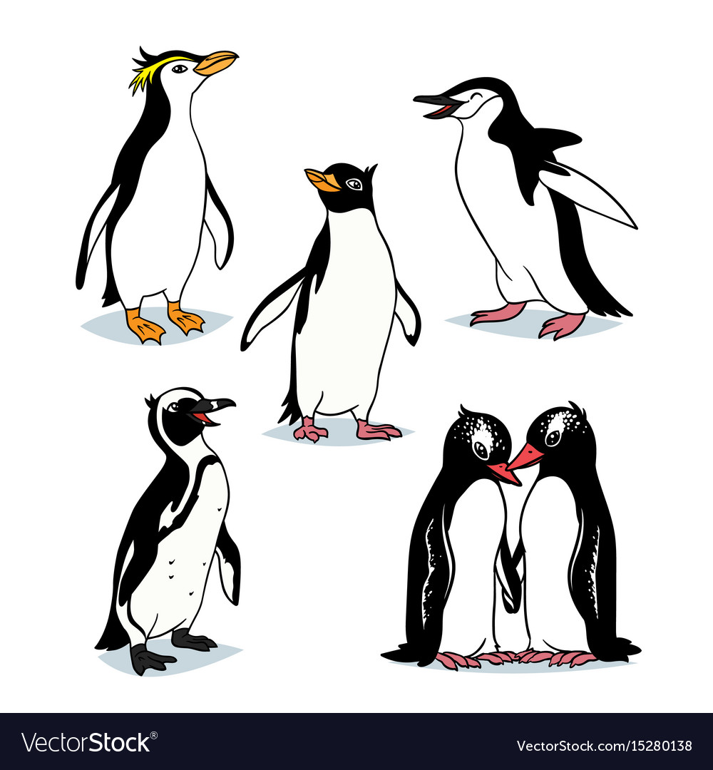 Cute cartoon penguins of different types Vector Image