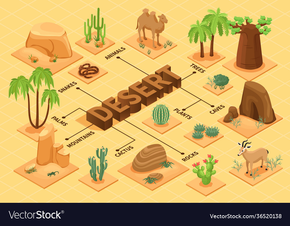 Desert isometric flowchart Royalty Free Vector Image