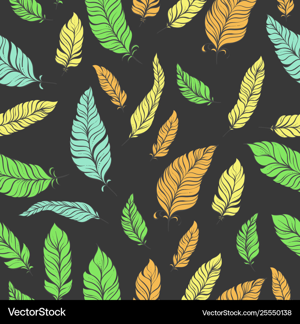 Feathers Royalty Free Vector Image - VectorStock