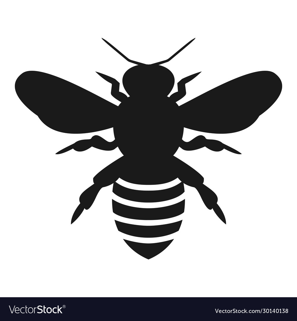 Graphic silhouette honey bee isolated Royalty Free Vector