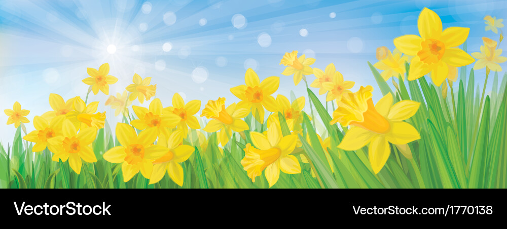 Spring flowers Royalty Free Vector Image - VectorStock
