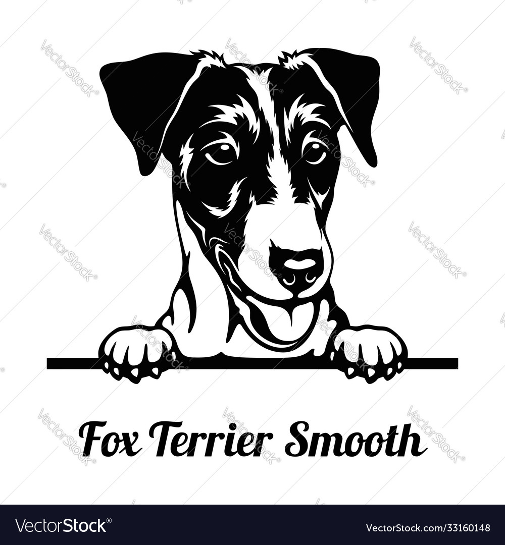 Fox sales terrier head