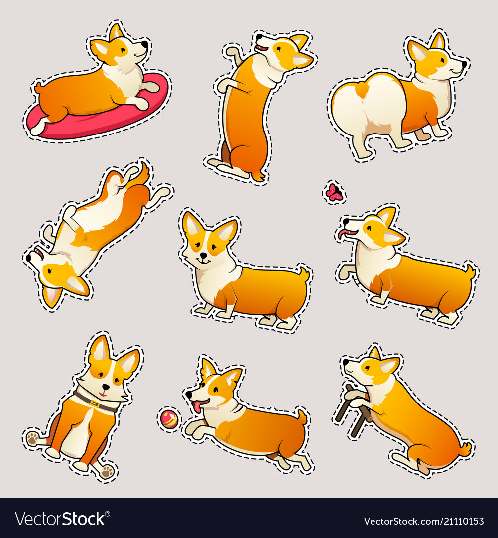 Set Of Cute Dogs Breed Welsh Corgi Pembroke On Vector Image