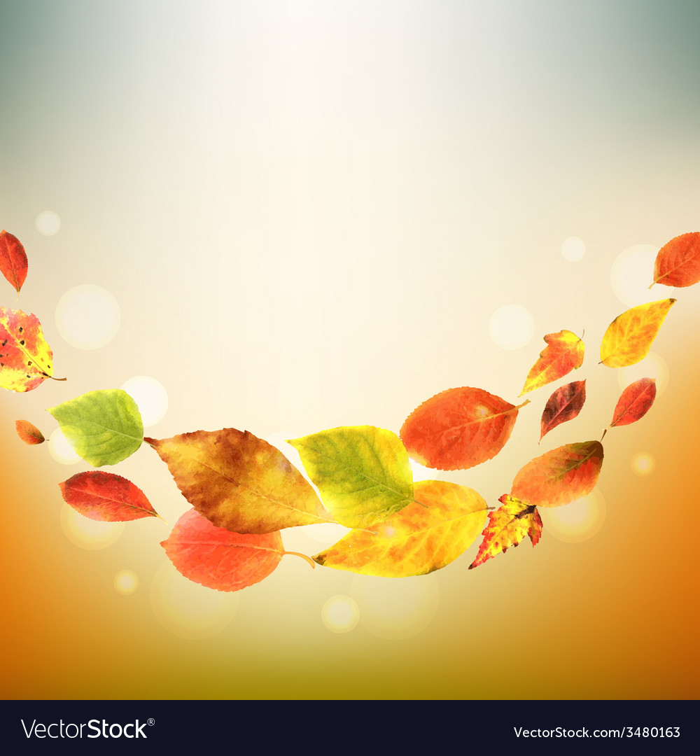 Autumn leaves border Royalty Free Vector Image