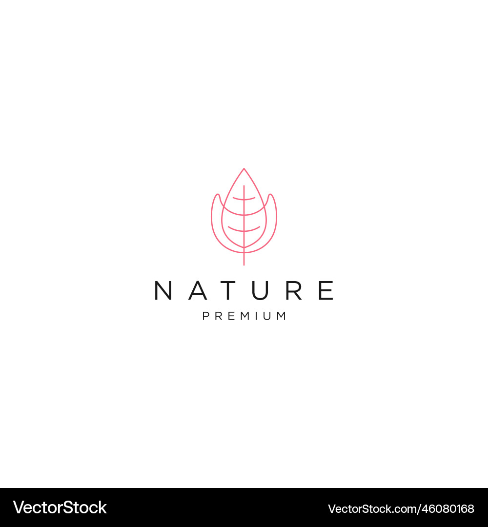 Leaf logo Royalty Free Vector Image - VectorStock